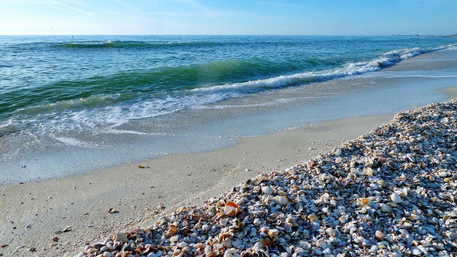 Sand Castle1 804 Clearwater Beach Bagian luar foto